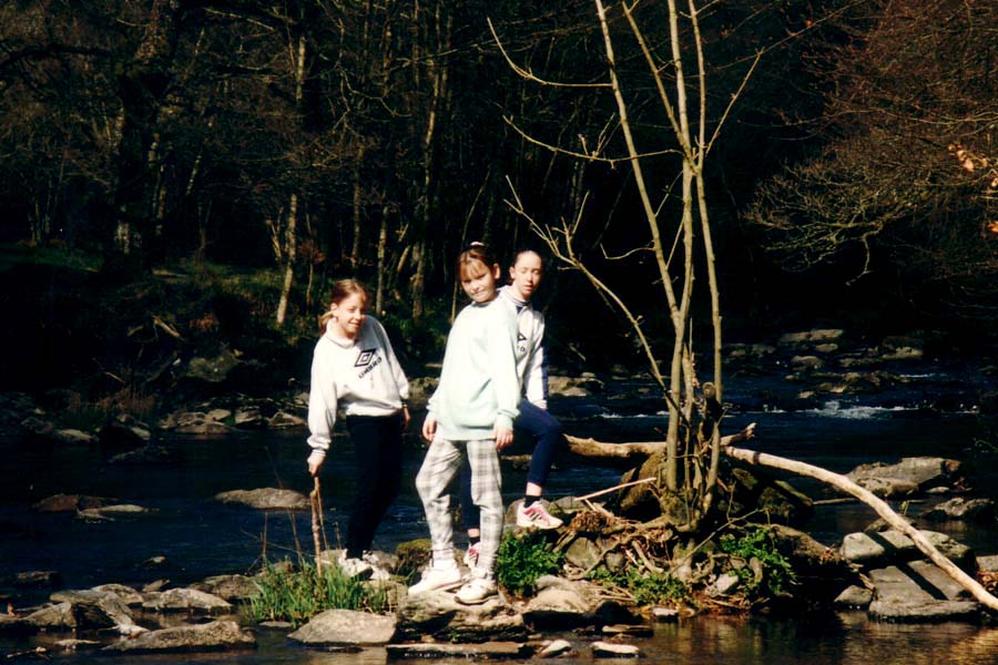 Exmoor National Park near Tarr steps / Withypool